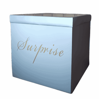 Silver Surprise Box - (50 x 50cm)
