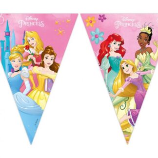 Disney Princess Pendant Flag Banner - 2.3m