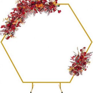 Gold Hexagon Frame - 200cm