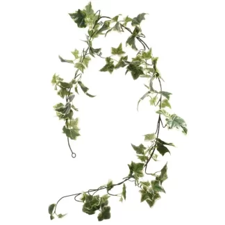 Holland Ivy Garland - (6ft) 97 Leaves