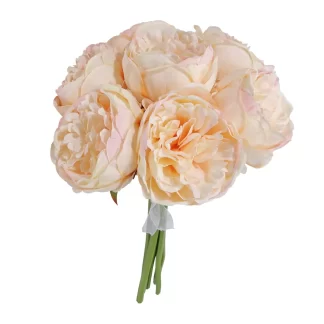 Light Champagne Aquitaine Peony Bunch - 34cm